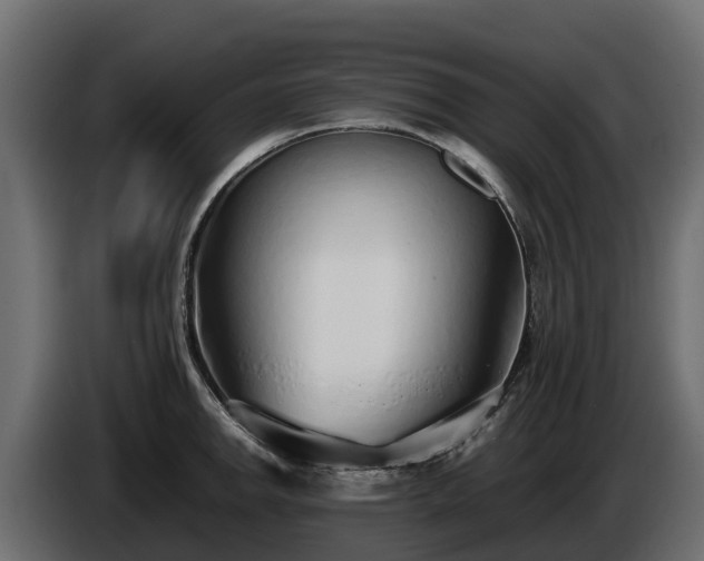 X0000085791142200703231302