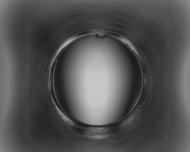 X0000085791143200703231302