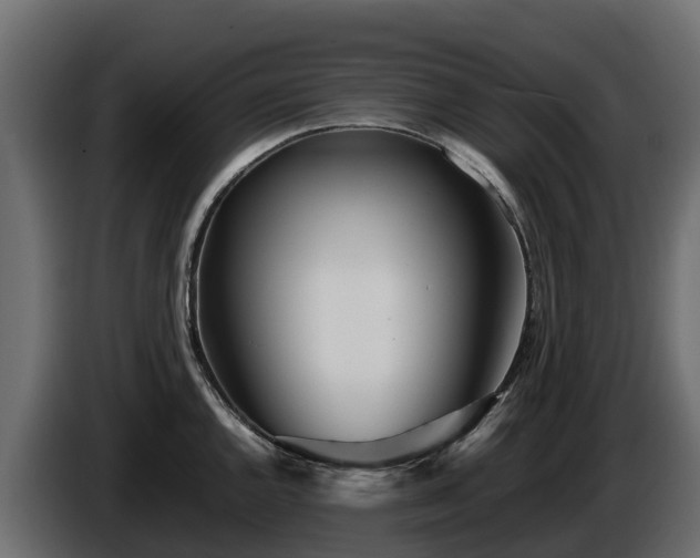 X0000085791144200703231302