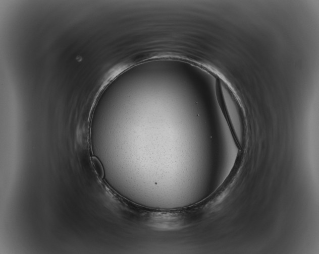 X0000085791145200703231302