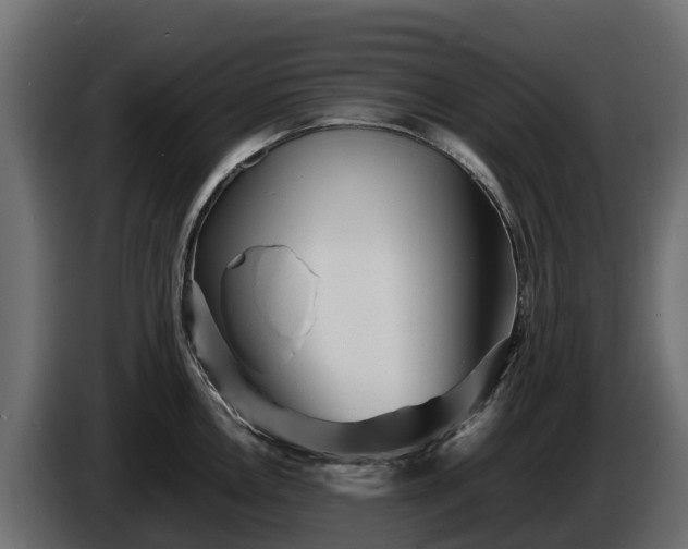 X0000085791146200703231302