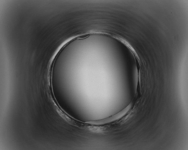 X0000085791148200703231302
