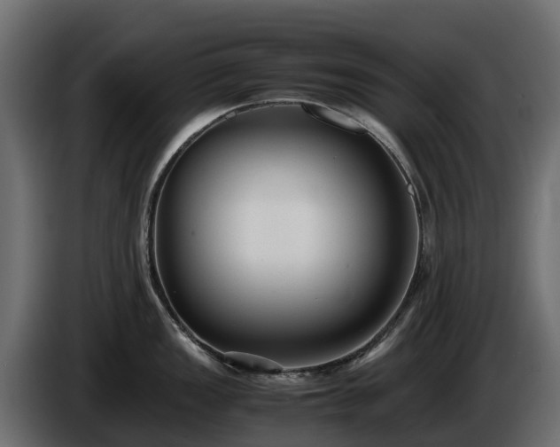 X0000085791149200703231302