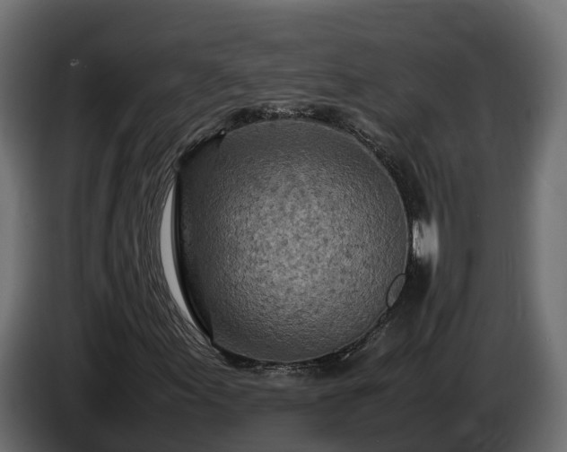 X0000085791155200703231302
