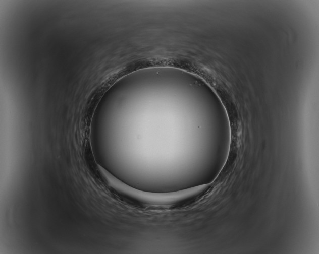 X0000085791157200703231301