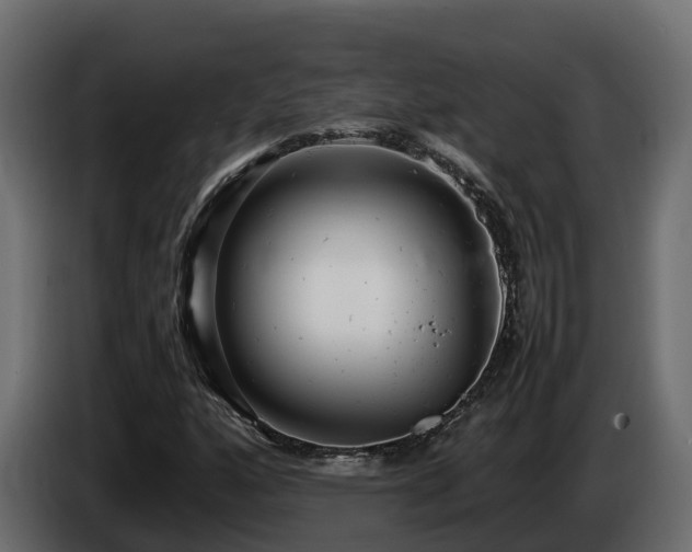 X0000085791160200703231301