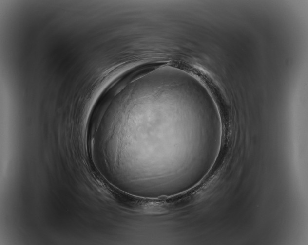 X0000085791161200703231301