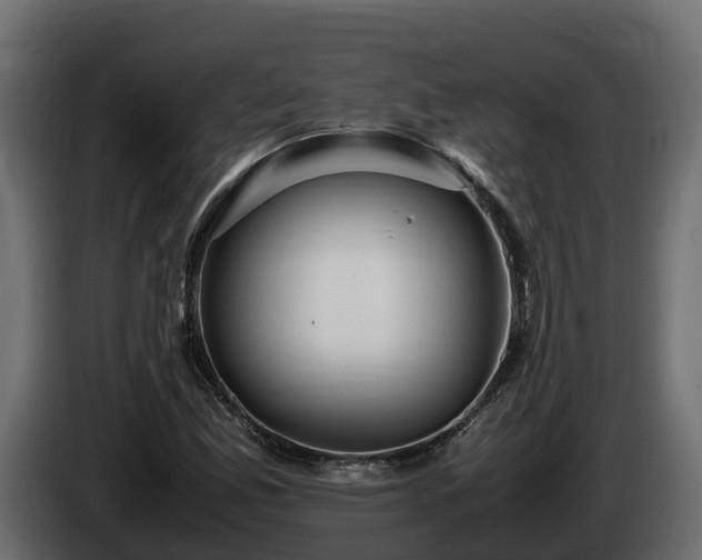 X0000085791165200703231301