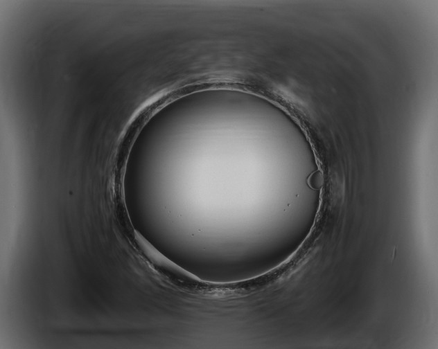 X0000085791166200703231301