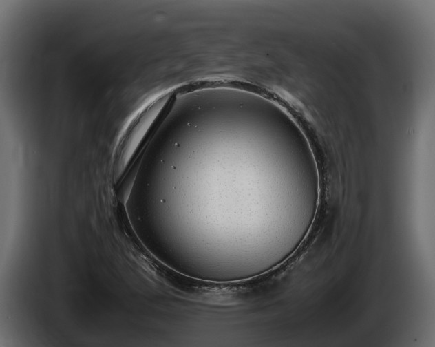 X0000085791167200703231301