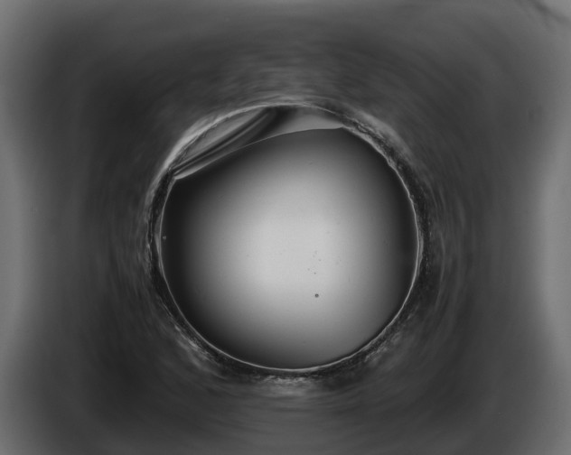 X0000085791168200703231301