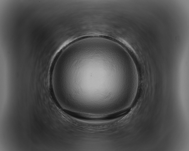 X0000085791173200703231301