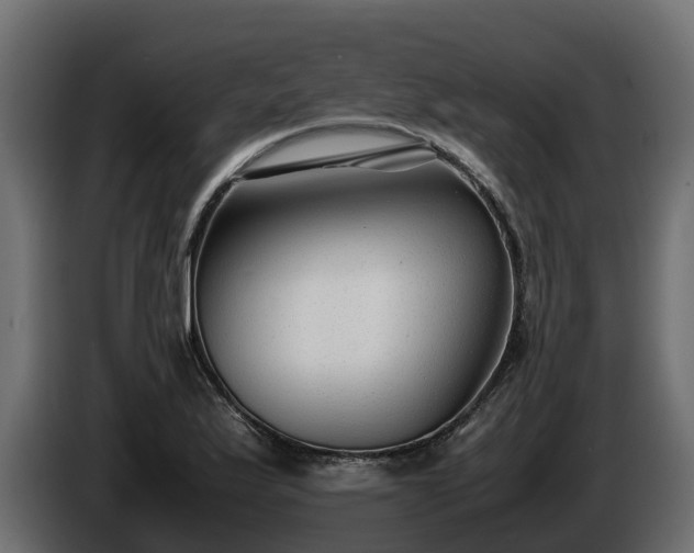 X0000085791175200703231301
