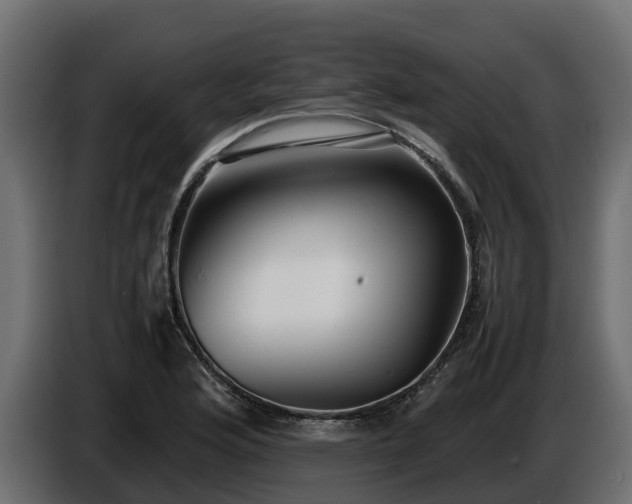 X0000085791176200703231301