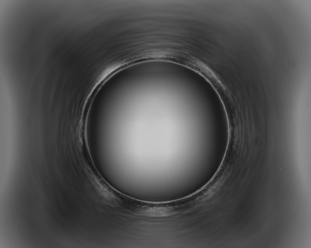 X0000085791178200703231301