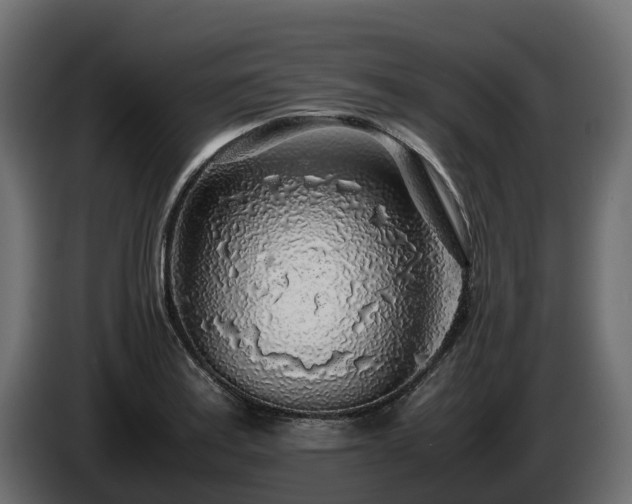 X0000085791179200703231301