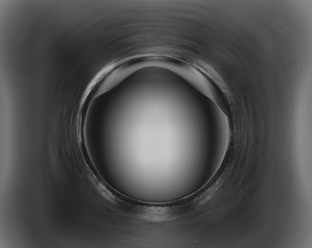X0000085791180200703231301