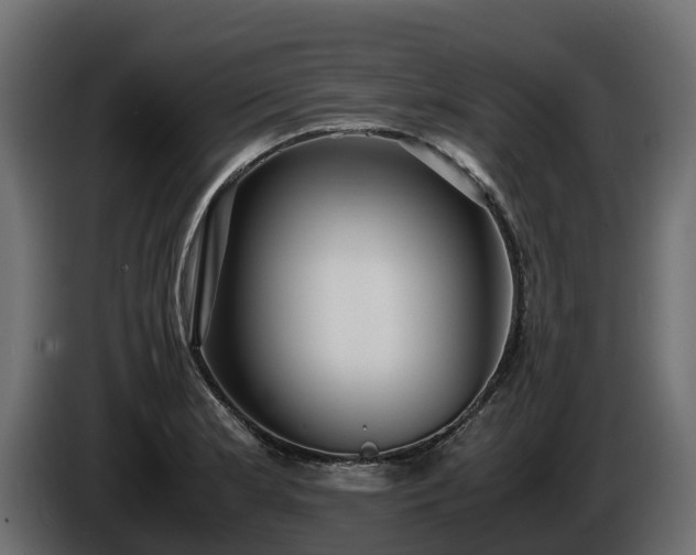 X0000085791181200703231301