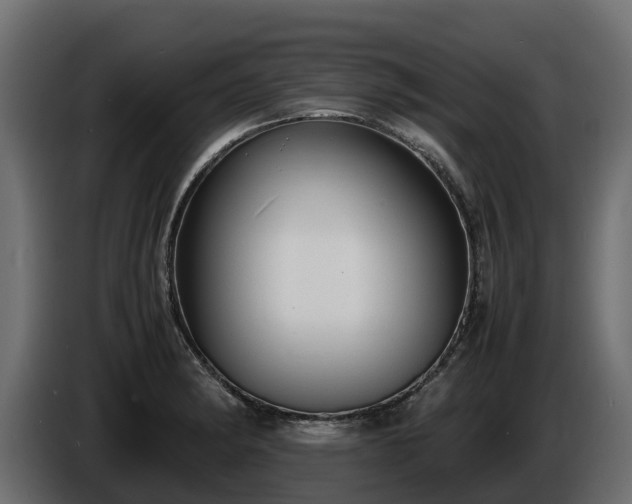 X0000085791182200703231301