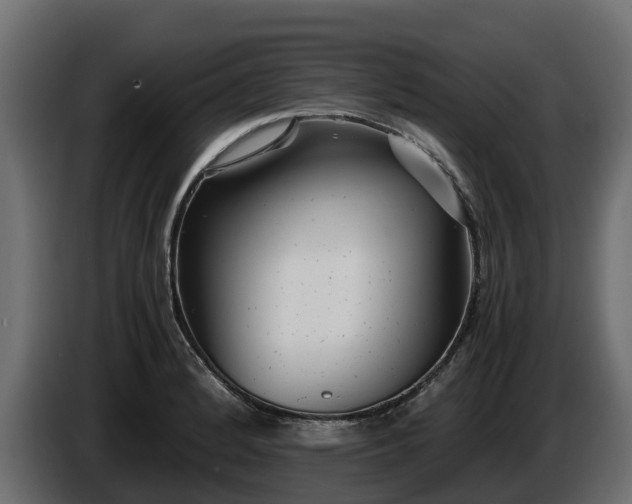 X0000085791184200703231301