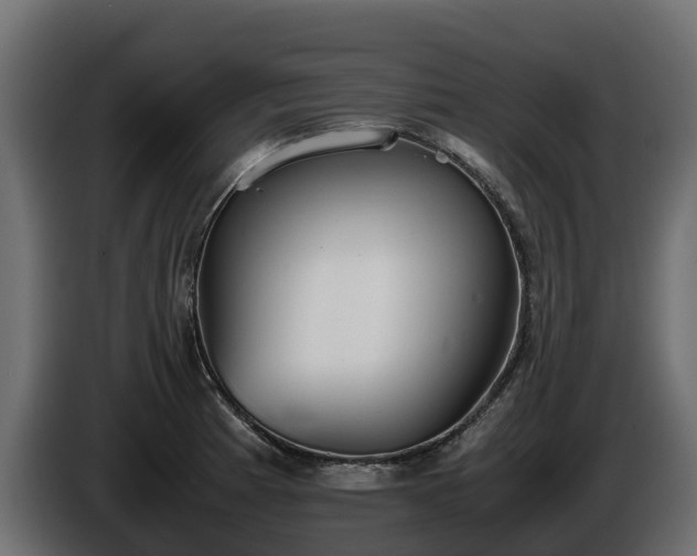 X0000085791185200703231301
