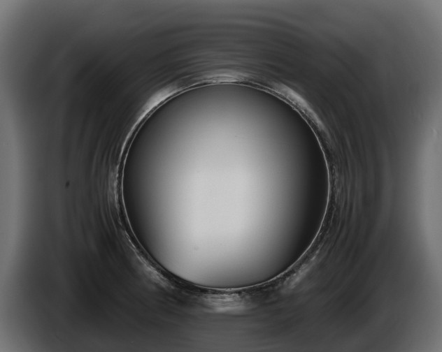 X0000085791186200703231301