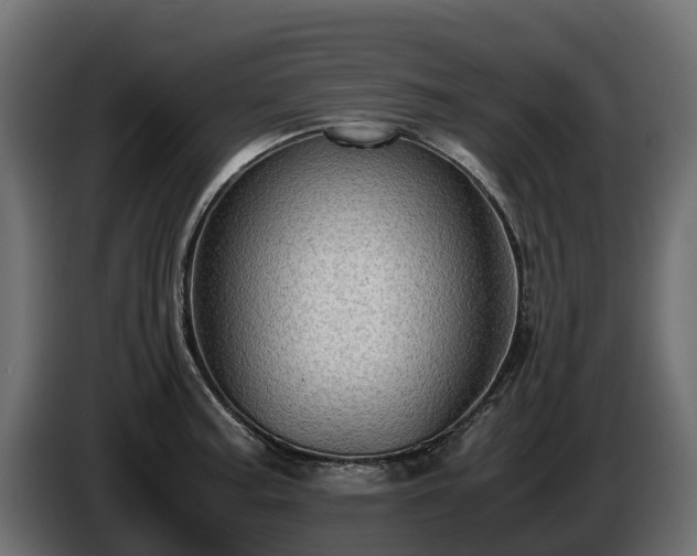 X0000085791187200703231301