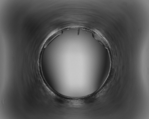 X0000085791189200703231301
