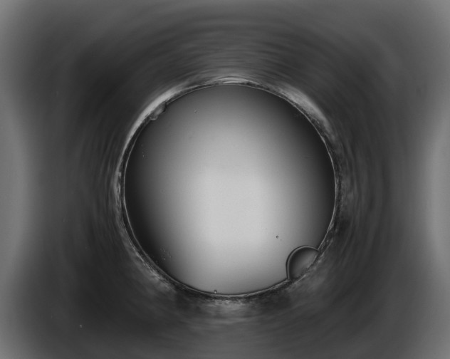 X0000085791190200703231301