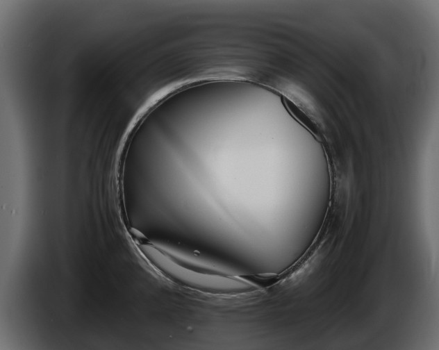 X0000085791192200703231301