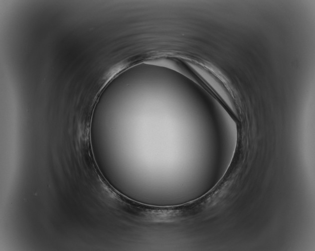 X0000085791193200703231301