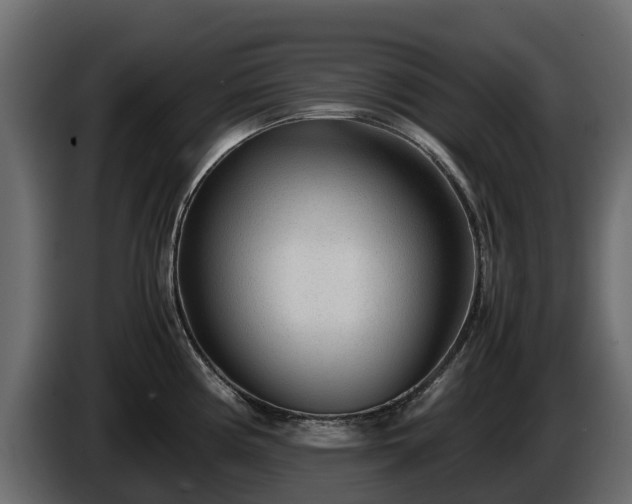 X0000085791194200703231301