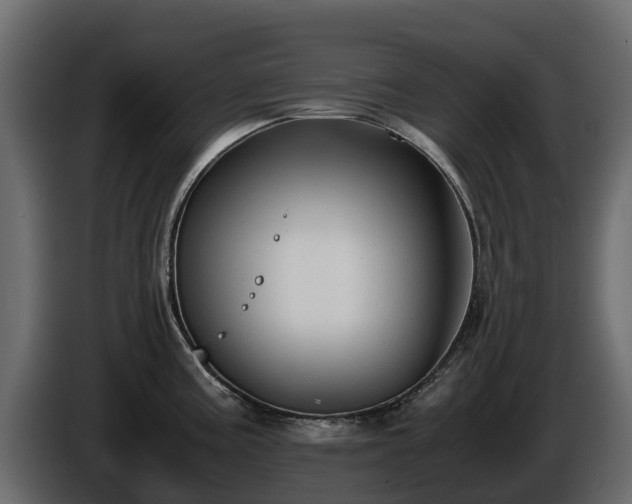 X0000085791195200703231301
