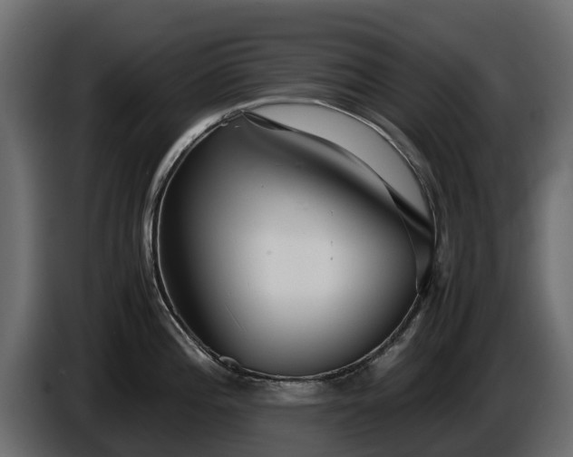X0000085791196200703231301