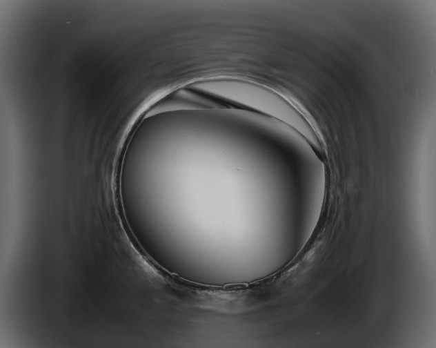 X0000085791197200703231301