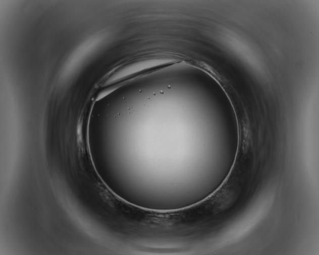 X0000085791198200703231301