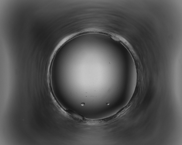 X0000085791199200703231301