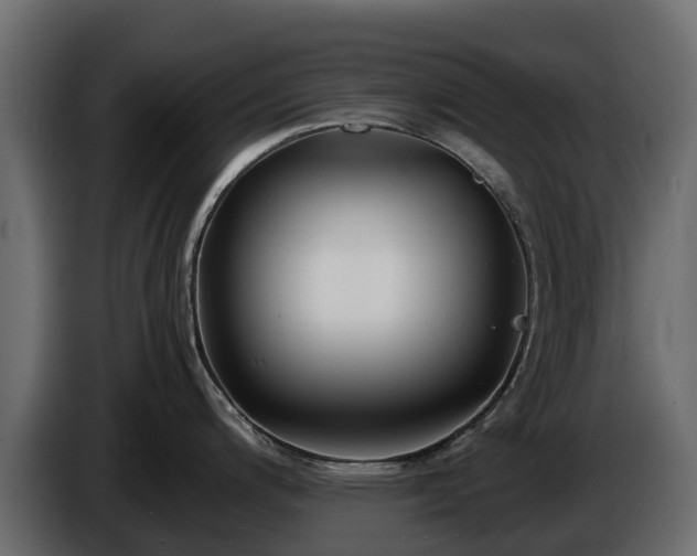 X0000085791200200703231301