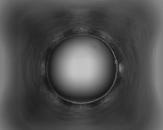 X0000085791203200703231300
