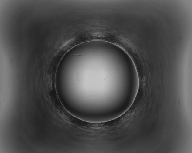 X0000085791205200703231300