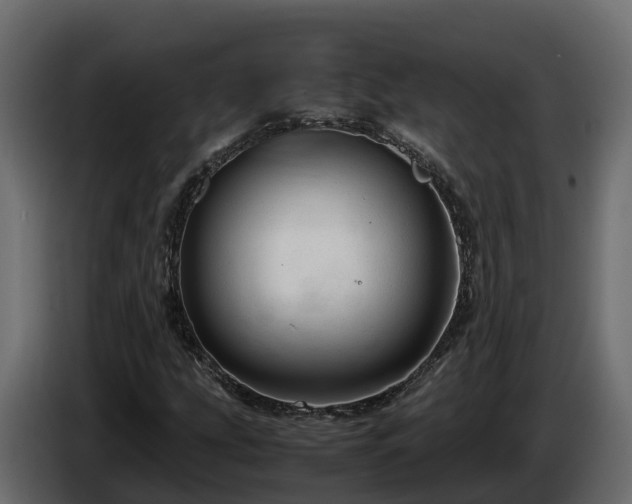 X0000085791207200703231300