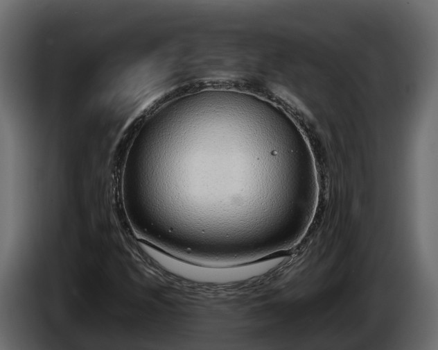 X0000085791208200703231300