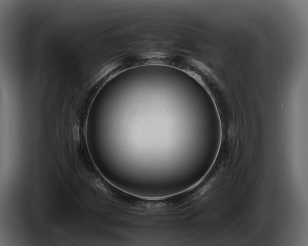 X0000085791209200703231300