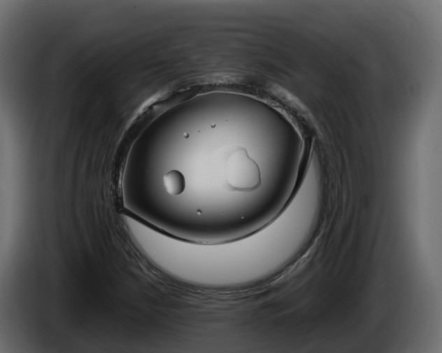 X0000085791210200703231300