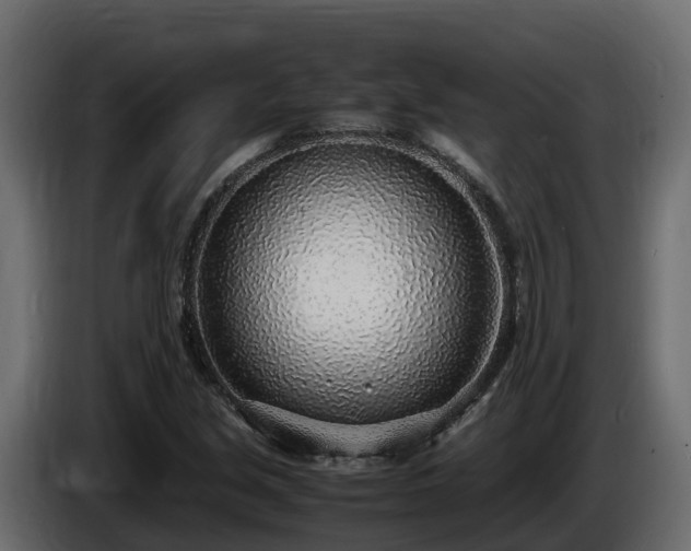 X0000085791213200703231300