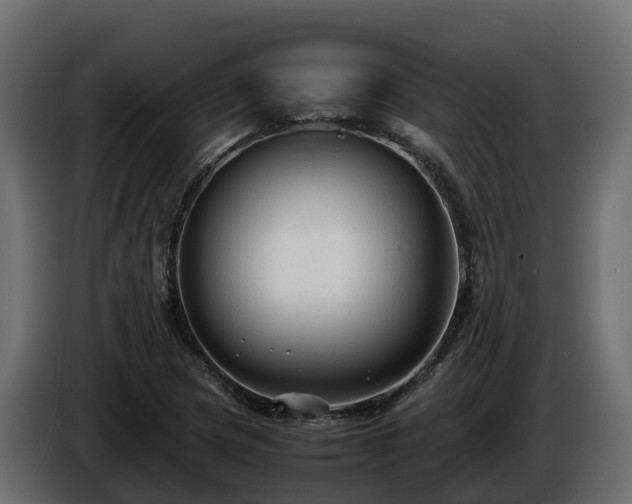 X0000085791217200703231300