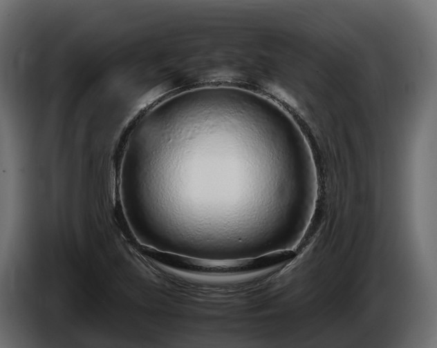 X0000085791219200703231300