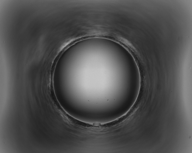 X0000085791220200703231300