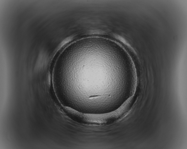 X0000085791221200703231300