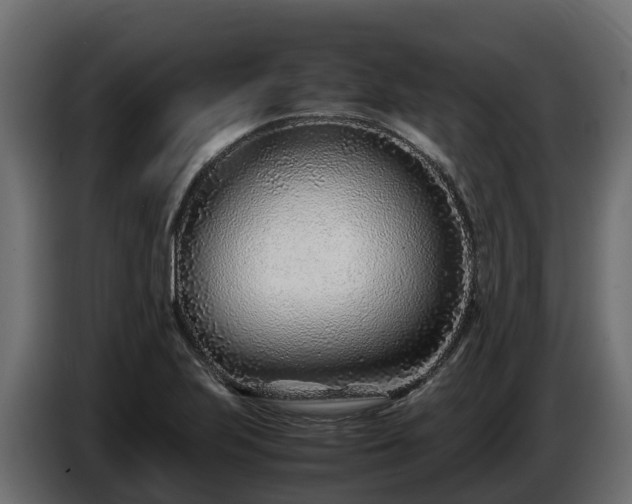 X0000085791223200703231300